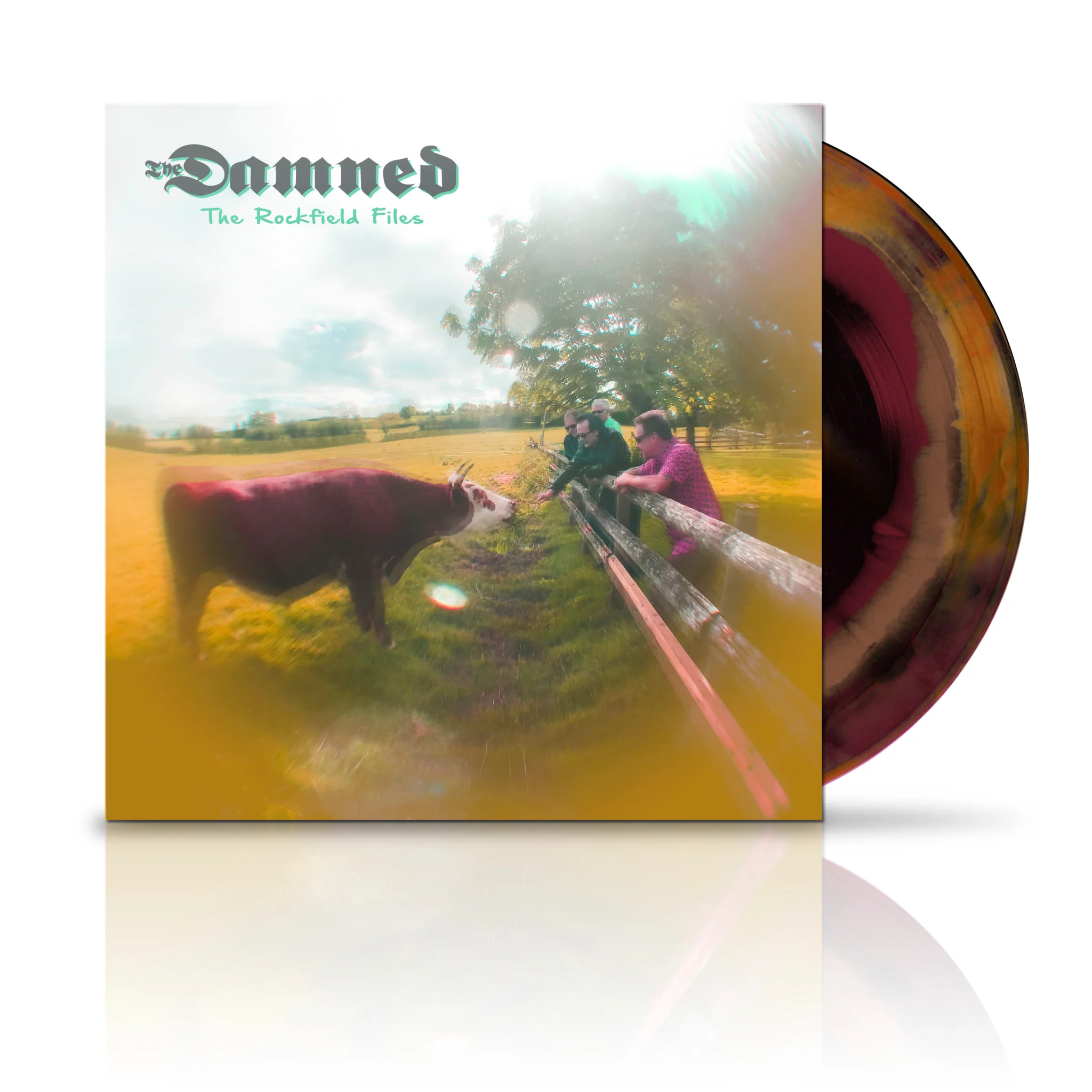 Vinyl Sale!